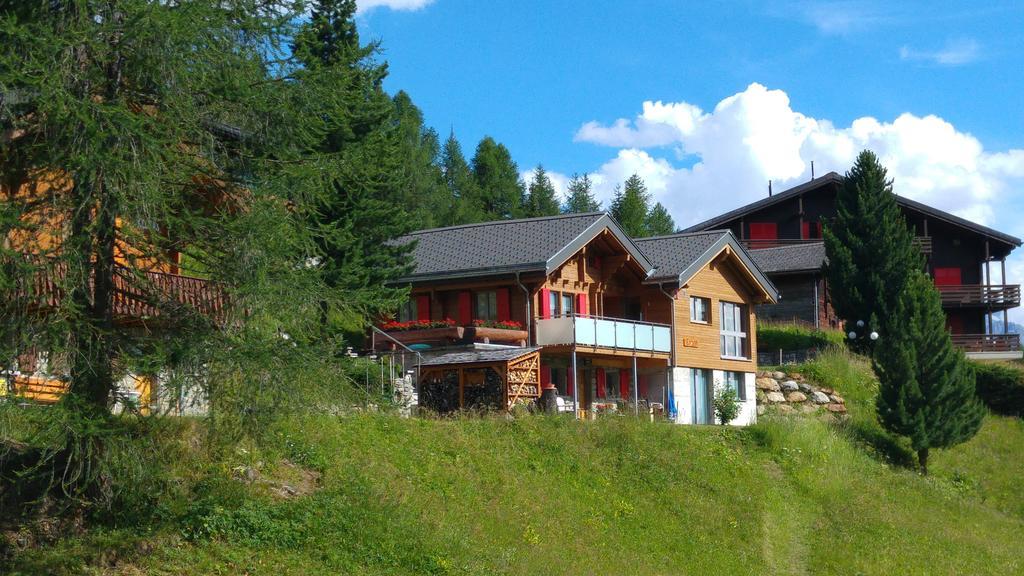 Chalet Enzian Ридеральп Экстерьер фото